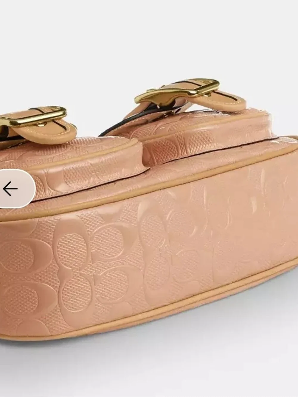 Coach Ashton Shoulder Bag In Signature Leather